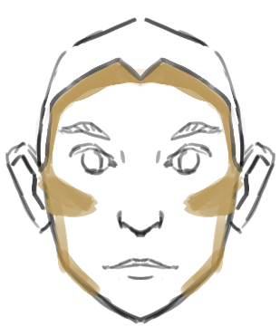 Face illustration showing
    contouring in the areas I described above